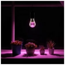 Светодиодная лампа для растений ( фитолампа ) Luazon 9 Вт, E27, 220В