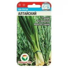Семена Лук Батун "Алтайский" 0.5гр (2 шт)