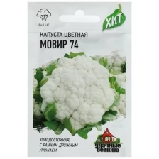 Семена Капуста цветная "Мовир 74", 0.3 г серия ХИТ х3, 6 шт.