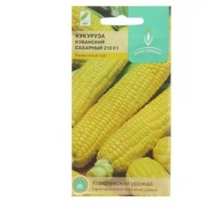 Семена Кукуруза "Кубанский Сахарный 210", сахарная, 5 г, 2 шт.