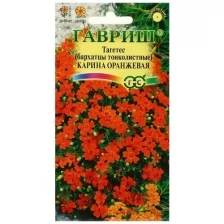 Семена цветов Бархатцы "Карина оранжевая ", тонколистные, 0,05 г