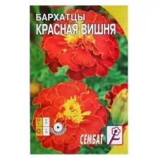 Семена цветов Бархатцы "Красная вишня", О, 0,2 г