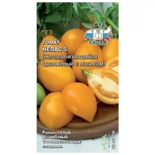 Семена томата Непас 5 Непасынкующийся Оранжевый с носиком