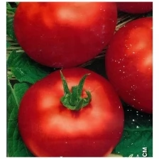Семена томата Непасынкующийся белый пакет
