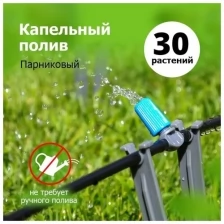 Капельный полив от водопровода `Парниковый` (30) комплект `Урожайная сотка` SXGT001