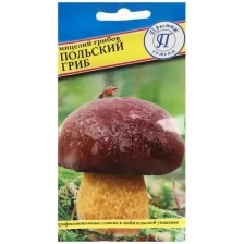Мицелий грибов Польский гриб 60 мл, 5 шт.