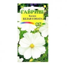 Семена цветов Космея "Белая соната", 0.3 г, 3 шт.