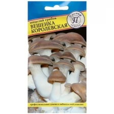 Мицелий грибов Вешенка королевская, 12 шт, 5 шт.
