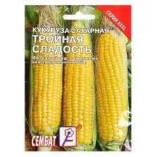 Семена ХХХL Кукуруза сахарная "Тройная Сладость", 25 г./В упаковке шт: 2