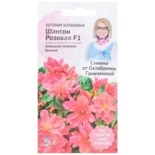 Бегония клубневая Шансон Розовая F1 6 шт, семена однолетних цветов для сада дачи, однолетние цветы для балкона для горшков, для домашнего выращивания
