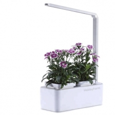 Гидропонная установка HobbyFarm Mini, домашний умный смарт сад, с фитолампой