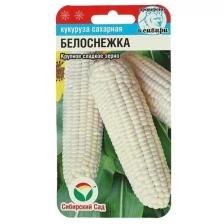 Семена Кукуруза "Белоснежка" 10шт