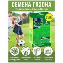 Газонная трава, Семена газонной травы для футбольных полей, кортов и детских игровых площадок, Евро-Спорт 250гр