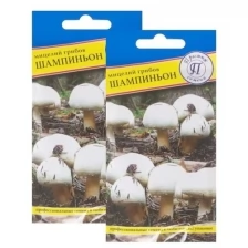 Мицелий грибов Шампиньон Белый, 2 упак