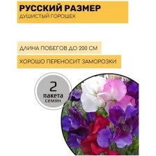Цветы Душистый горошек Русский размер, смесь 2 пакета по 12шт семян