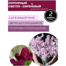 Цветы Душистый горошек Русский размер Пурпурный и Светло-сиреневый 2 пакета по 6шт семян