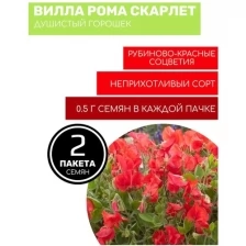 Цветы Душистый горошек Вилла Рома Скарлет 2 пакета по 0,5г семян