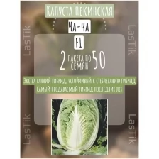 Капуста пекинская ЧА-ЧА F1 2 пакета по 50шт семян