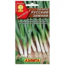 Семена Лук Батун Русский Зимний 1гр -3 упак.