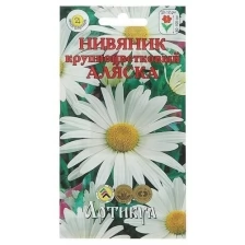 Семена цветов Нивяник крупноцветковый «Аляска», Мн, 0,2 г.