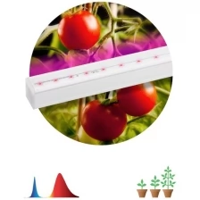 Светильник для растений, фитолампа светодиодная линейная ЭРА FITO-14W-Т5-N красно-синего спектра 14