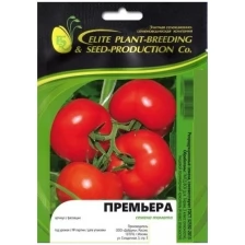 Элитные семена томата салатного Премьера, 100 шт. в упаковке
