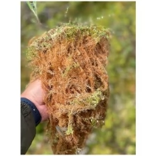 Мох сфагнум Fuscum отборный в брикете 16 л. Премиум сегмент чистейший мох для орхидей, растений, улиток ахатина