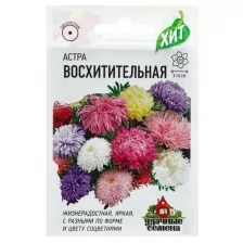 Семена цветов Астра "Восхитительная", смесь, О, 0,3 г серия ХИТ х3