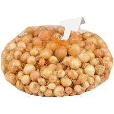 Семена лук-севок Штуттгартер Ризен (Россия), 1 кг