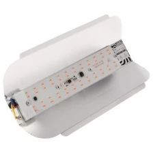Фитопрожектор светодиодный Luazon СДО09-50, 50 Вт, IP65, 220 В, мультиспектр., бескорпусный