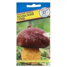 Престиж семена Мицелий грибов Польский гриб, 60 мл
