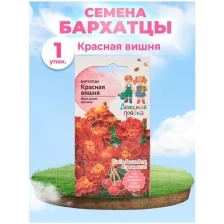 Бархатцы Красная вишня 10 шт ДГ / семена однолетних цветов для сада / однолетние цветы для балкона