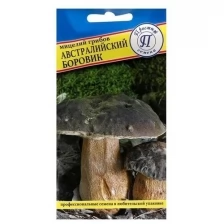 Мицелий грибов Австралийский боровик, 50 мл, 5 шт.