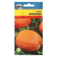 Семена Тыква "Мускатная",1 гр (2 шт)